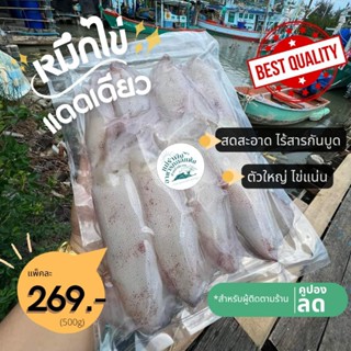 หมึกไข่แดดเดียว500กรัม ปลาหมึก อาหารทะเล หมึกตัวใหญ่ ไข่แน่น