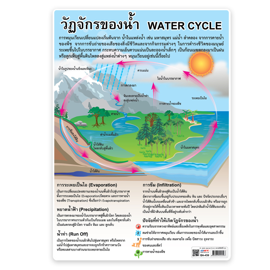 โปสเตอร์พลาสติกขนาดA4 วัฏจักรน้ำ EA-459