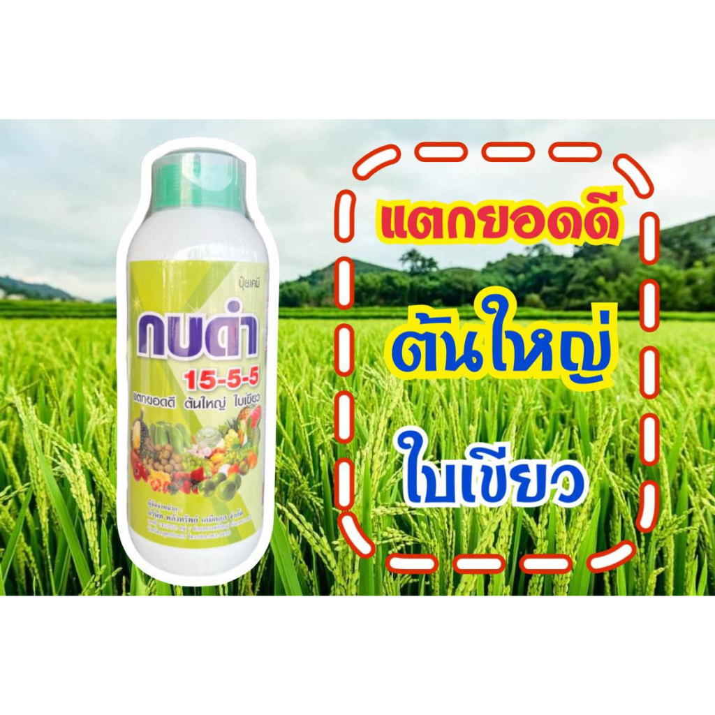 ปุ๋ยน้ำกบดำ 15-5-5 ขนาด 1 ลิตร เร่งต้น เร่งใบ แตกยอดดี ต้นใหญ่ ใบเขียว