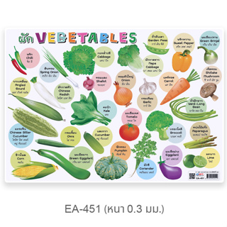 โปสเตอร์พลาสติกขนาด A4 ผักVegetables EA-451