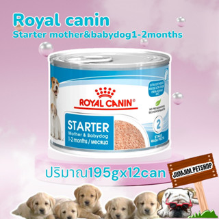 Royal Canin Starter Mousse EXP.07/2024 (ลูกหมา/หมาป่วย/แม่หมา) สตาร์ทเตอร์มูส 195g 12 กระป๋อง สตาร์ทเตอร์ มูส