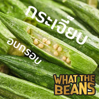 กระเจี๊ยบเขียวอบกรอบ WHAT THE BEANS 500กรัม กระเจี๊ยบ กระเจี๊ยบกรอบ เกรด AAA ผักอบกรอบ