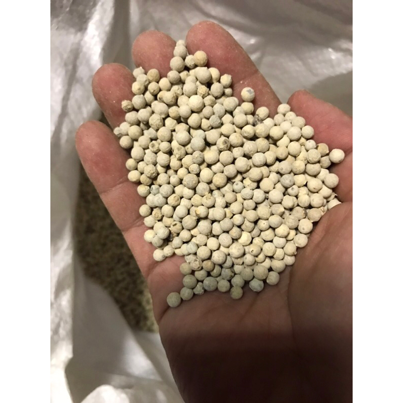 พริกไทเม็ด พริกไทขาว  ขนาด 1 kg(1,000กรัม) ราคา  444บาท