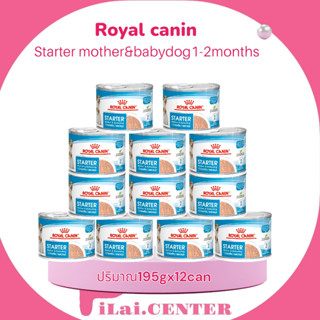 Royal Canin Starter Mousse EXP.07/2024 (ลูกหมา/หมาป่วย/แม่หมา) สตาร์ทเตอร์มูส 195g 12 กระป๋อง สตาร์ทเตอร์ มูส