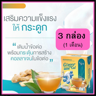 โปรเห็นผล 3 กล่อง+ของแถม : VS9 Ginger Cal วีเอสไนน์ จินเจอร์ แคล สำหรับผู้ที่ปวดข้อ เข่า กระดูก เข่าเสื่อม โรคประดูกพรุน