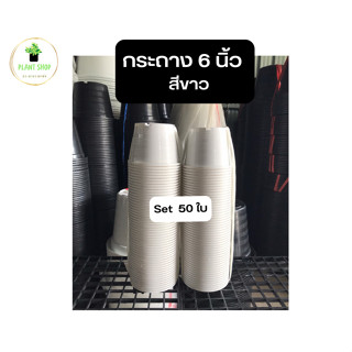 กระถาง 6 นิ้ว สีขาว ยกมัด 50 ใบ