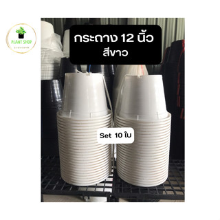 กระถาง 12 นิ้ว สีขาว ยกมัด 10 ใบ