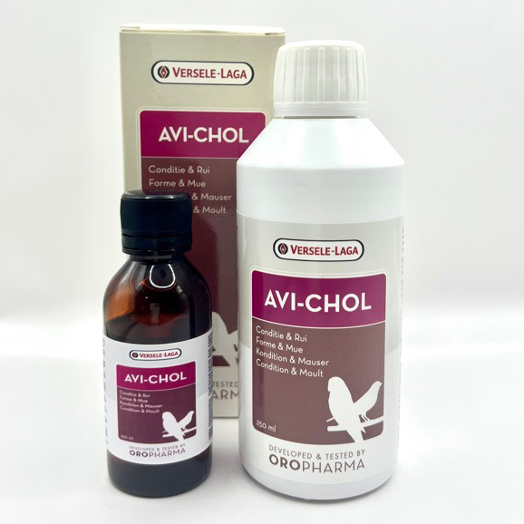 Avi-chol 250ml. บำรุงตับ