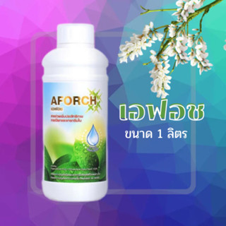 เอฟอช เอฟอส ขนาด 1 ลิตร จับใบ สารจับใบช่วยเสริมประสิทธิภาพพืช สารจับใบชนิดพิเศษ