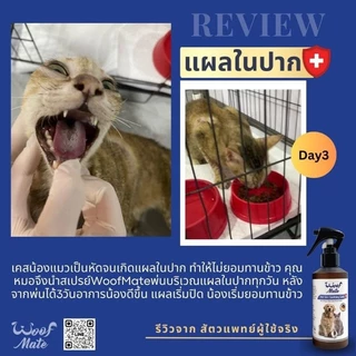 ส่งไว🔥สเปรย์ที่สัตวแพทย์แนะนำ#WoofMate เป็นสเปรย์ฆ่าเชื้อบนผิวหนังสัตว์เลี้ยง ใช้กับสัตว์เลี้ยงลูกด้วยนม🐈มี2ขนาด