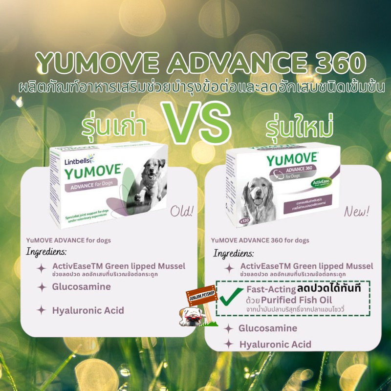 Yumove Advance 360 for dog 120เม็ด  NEW บำรุงข้อสุนัข บำรุงกระดูกสุนัข อาหารเสริมสุนัข ราคาถูก Shopee Lazada