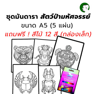 ภาพระบายสีมันดารา ชุดป่ามหัศจรรย์ ขนาด A5 แถมฟรีสีไม้ Master Art Premium Grade กล่องเล็ก