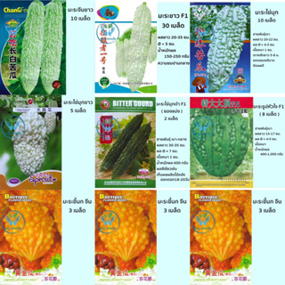 เมล็ด มะระขาว  มะระไข่มุกดำญี่ปุ่น  มะระไข่มุก มะระรูปหัวใจ  มะระขี้นกจีน bitter gourd