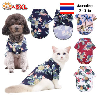 เสื้อเชิ้ตหมา ส่งด่วน-ร้านไทย เสื้อเชิ้ตสุนัข น้องหมา ชิวาว่า เสื้อหมาเล็ก เสื้อหมาแมว เสื้อผ้าหมา เสื้อผ้าสุนัข