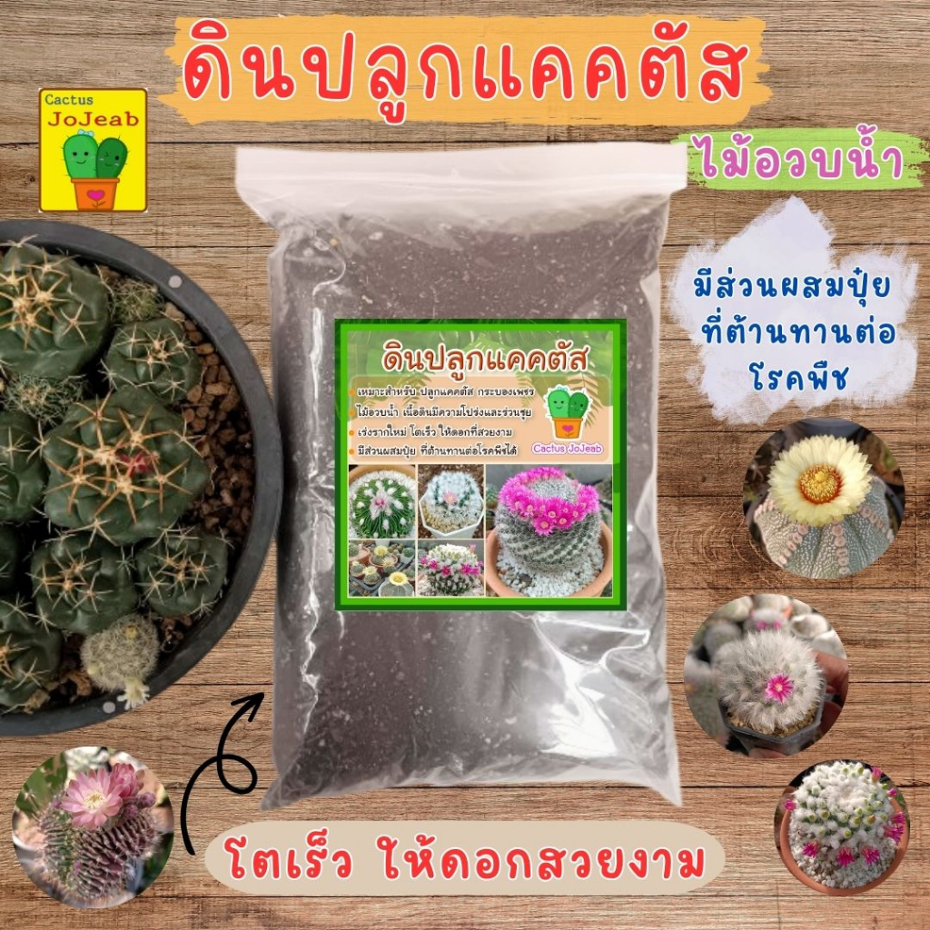 ดินปลูกแคคตัส ดินปลูกกระบองเพชร - สูตรดินโปร่ง ต้นอวบ รากงอกเร็ว ออกดอกสม่ำเสมอ (บรรจุถุง 3 กิโลกรัม) ผสมเสร็จพร้อมปลูก