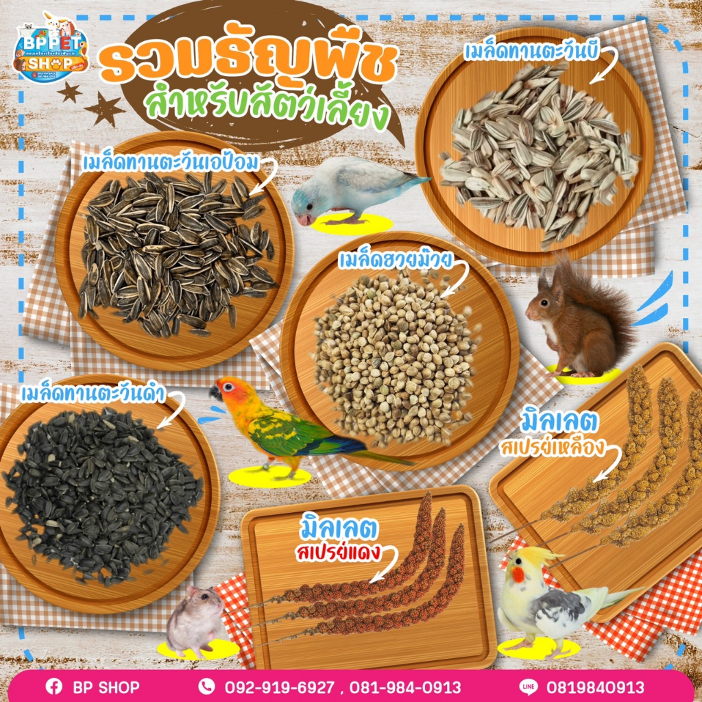 (BP PPets) อาหารนกแก้ว เมล็ดธัญพืช ทานตะวัน ฮวยม๊วย มิลเลตสเปรย์ เกรดA อาหารนกแก้ว อาหารหนูแฮมเตอร์