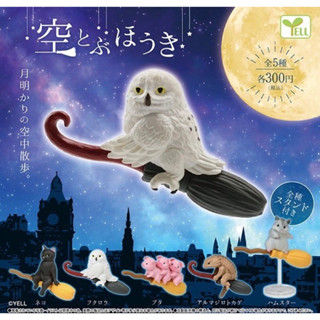 🅟🅕 กาชาปองสัตว์ขี่ไม้กวาด 🧹🦉🐖🐈‍⬛🦎🐹🧹Animal Flying Broom gashapon