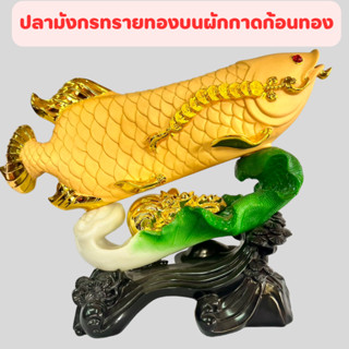 ปลามังกรทอง ปลา ผักกาด ปลามังกร ปลาทอง ปลามงคล จีน ปลาอโวาน่า บน ผักกาด พร้อมส่ง