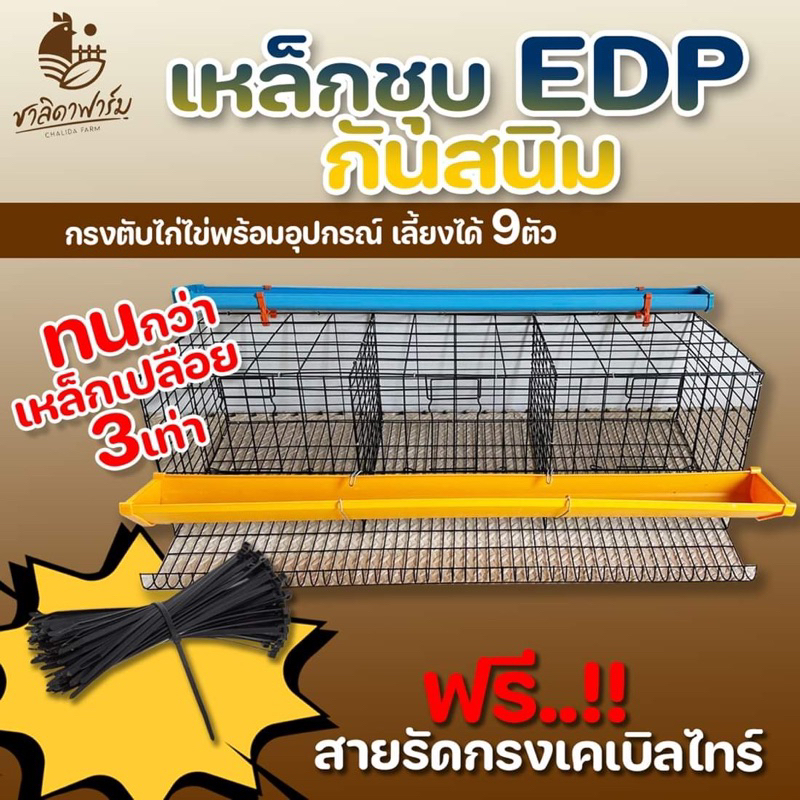 กรงตับไก่ไข่ เหล็กชุบ EDP สีดำกันสนิม พร้อมอุปกรณ์ ใส่ไก่ได้9ตัว กรงไก่ กรงไก่ไข่ กรงตับ กงตับ Hen cage