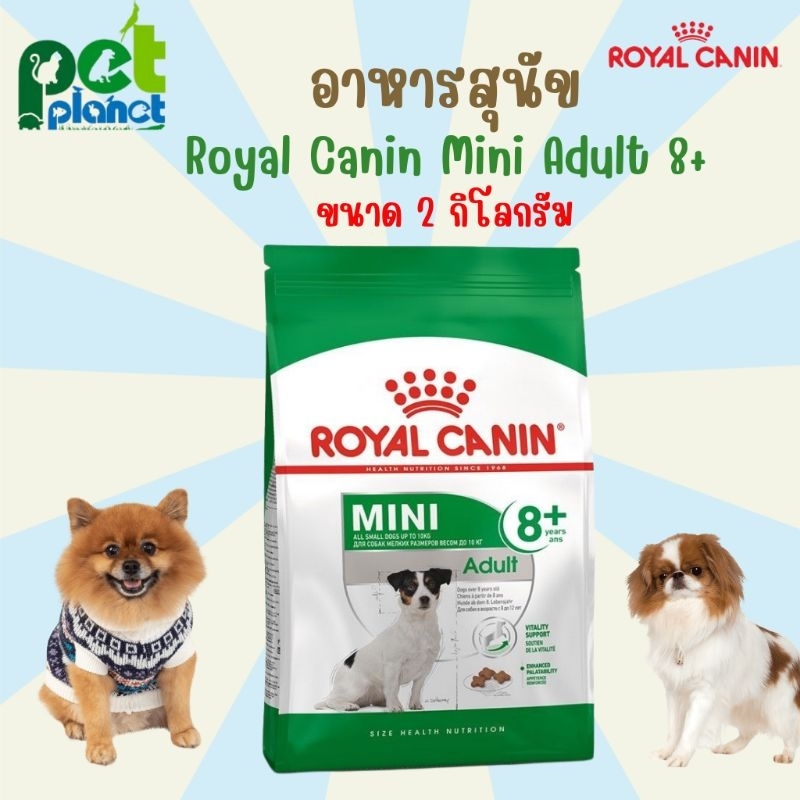 [2kg.] อาหารสุนัข RoyalCanin Mini Adult 8+ โรยัลคานิน อาหารสุนัขแก่ 8 ปีขึ้นไป สำหรับ สุนัข หมา สุนัขแก่ หมาแก่