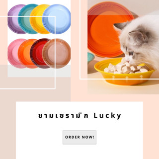 ชามเซรามิก Lucky ชามใส่อาหารสำหรับน้องแมว