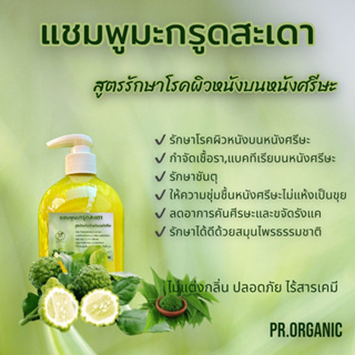 แชมพูมะกรูดสะเดา สูตรรักษาโรคผิวหนังบนหนังศรีษะ รักษาชันนะตุ ขนาด500ml.