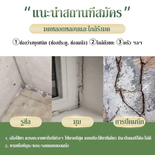 ยาฆ่ามด ยากำจัดมด กำจัดมด สเปรย์กำจัดมด 300ML ได้ผล 100% ฆ่ามด ไล่มด ยาฉีดมดในบ้าน สเปรย์ไล่มด กำจัดมด ยกรัง ฆ่ามด