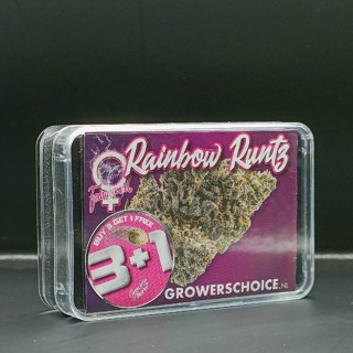 Rainbow Runtz - Growers Choice