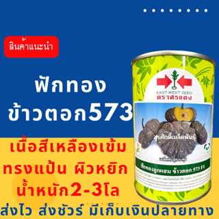 (ของแท้ ส่งไว) ฟักทอง ลายข้าวตอก573 100 กรัม