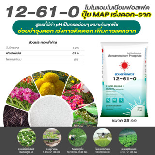 แม่ปุ๋ย 12-61-0 โมโนแอมโมเนียมฟอสเฟต MAP ปุ๋ยเกล็ด (NH4)3PO4 ใช้เปิดตาดอกในไม้ผล เร่งการออกดอก(ชนิดแบ่งขาย)ขนาด 1 kg