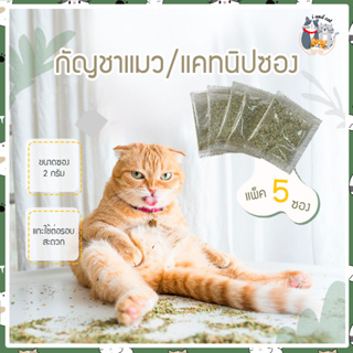 I&amp;CAT กัญชาแมว แคทนิปแมว แบบซอง ขนมแมว ช่วยแมวผ่อนคลาย แคทนิปออแกนิค Catnip ผงแคทนิป หญ้าแมวซอง หญ้าผง