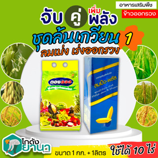 🌾 ชุดล้นเกวียน1 ลมเบ่งพลัส+ตอง333 ขนาด 1ลิตร+1กิโลกรัม สร้างอาหาร สะสมอาหาร สร้างเนื้อ