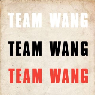 ตัวรีด TEAM WANG รีดได้ทุกเนื้อผ้า