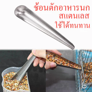 ช้อนตักอาหารนก ช้อนเติมอาหาร สแตนเลส ให้อาหารนก อุปกรณ์เลี้ยงนก ราคาส่ง