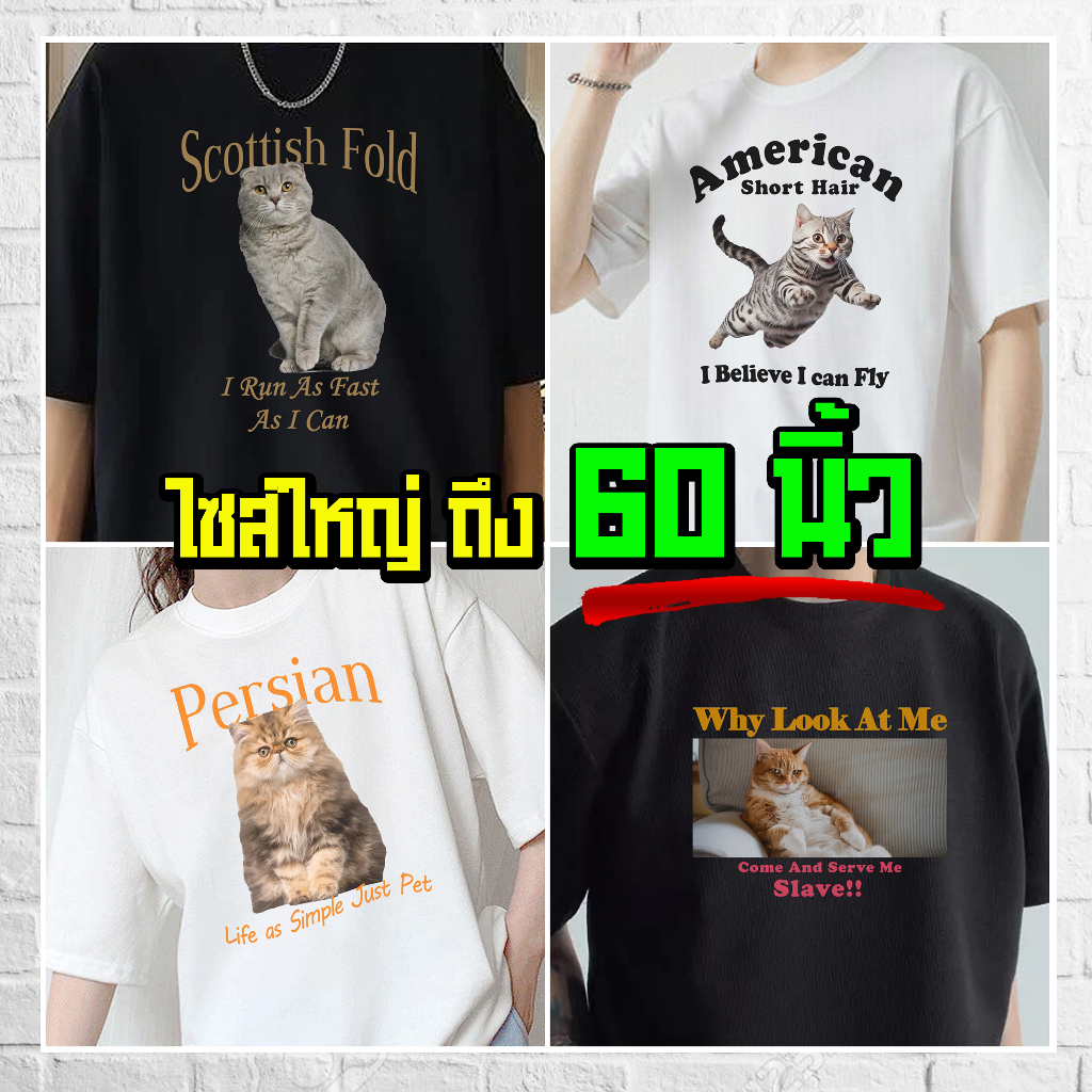 (ร้านจริง) แบร์บุรี : เสื้อยืดไซส์ใหญ่ M-5XL อก 60 นิ้ว ลายแมวน่ารัก เสื้อลายแมว (169)