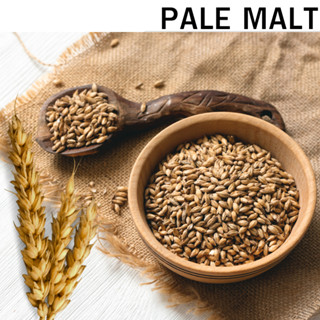 MALT - มอลต์ทำเบียร์ (ขนาด 1 lbs)