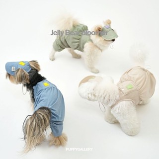 Cooling Jelly bear Bloomer 🐻 Puppy Gallery ชุดเย็น คูลลิ่ง สำหรับสัตว์เลี้ยง 🐶😺 จากเกาหลี🇰🇷