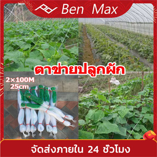 Benmax ตาข่ายปลูกพืชผัก ตาข่ายแตงกวา ค้างปลูกผัก ค้างผัก 2x100เมตร ตาข่ายปลูกผัก อวนแตง ตาข่ายไม้เลื้อย ปลูกผักเลื้อย