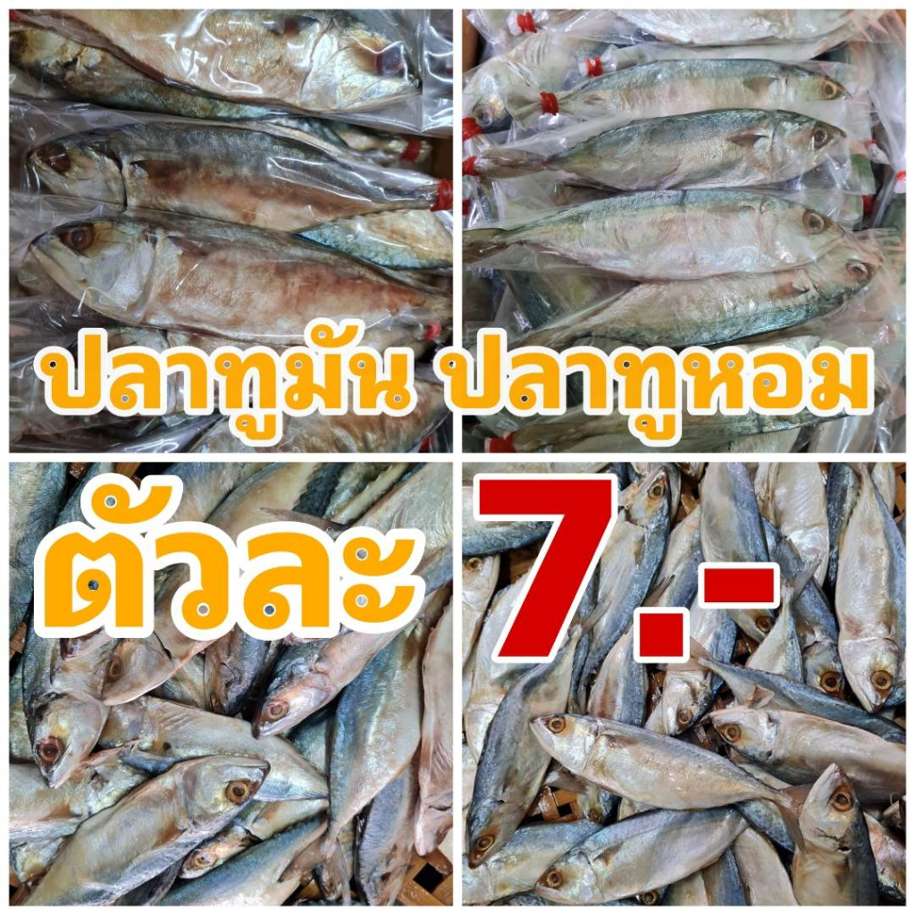 🐟ปลาทูมัน ปลาทูหอม 7 บาท🐟 ล้งปลาทูมาเองมีจำนวน
