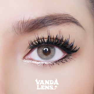 VANDA LENS รุ่น NV GRAY