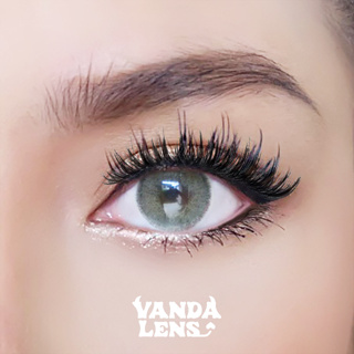 Vanda lens คอนแทคเลนส์สายฝอ รุ่น Top Silver