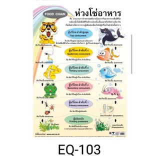 ห่วงโซ่อาหาร EQ 103 โปสเตอร์สื่อการสอน หุ้มพลาสติก