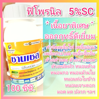 ซานเชส ฟิโพรนิล 100 ซีซี. เนื้อยาพิเศษ กำจัดปลวก เพลี้ยไฟ หนอนม้วนใบ หนอนกอ ด้วงหมัดผัก