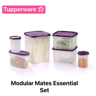 Tupperware รุ่น Modular Mates Essential Set