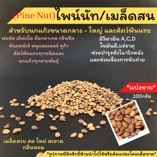 แบ่งขาย*ไพน์นัท Pine Nut (เมล็ดถั่วสน) สำหรับนกแก้วขนาดกลาง - ใหญ่ และสัตว์ฟันแทะ แบ่งขนาดขนาด100/200กรัม