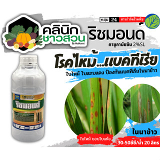 🥬 ริชมอนด์ (คาซูกาไมซิน) บรรจุ 1ลิตร ใช้ป้องกันกำจัดโรคกาบใบแห้งในข้าว ที่มีสาเหตุจากเชื้อรา