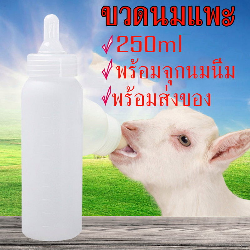 ถูก💥ขวดนมแพะ 250ml พร้อมจุก จุกนมซิลิโคน ขวดป้อนนม สำหรับสุนัข แมว แกะ หมู และสัตว์เลี้ยงที่ไม่ตัวเล็กมาก