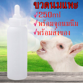 ถูก ขวดนมแพะ 250ml ขวดนมพร้อมจุก จุกนมซิลิโคน ขวดป้อนนม สำหรับสุนัข แมว แกะ หมู และสัตว์เลี้ยงที่ไม่ตัวเล็กมาก