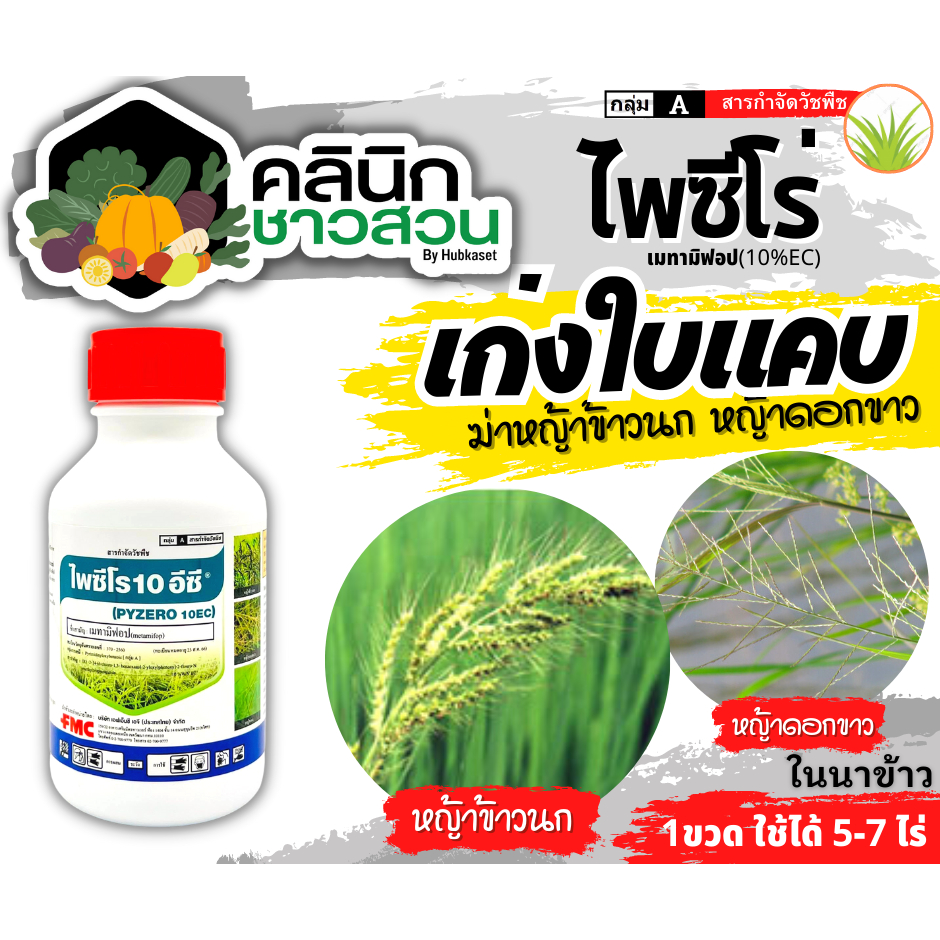 🥬 ไพซีโร (เมทามิฟอป) บรรจุ 500ซีซี ใช้หลังวัชพืชงอกคุมวัชพืชในนาหว่านน้ำตม ทั้งใบแคบ ใบกว้างและกก