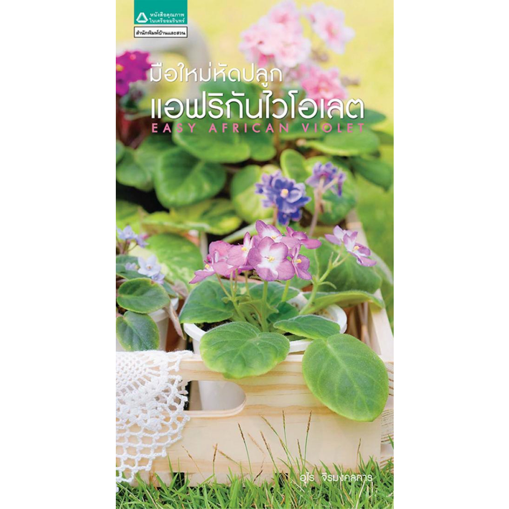 มือใหม่หัดปลูกแอฟริกันไวโอเลต จำหน่ายโดย ผู้ช่วยศาสตราจารย์ สุชาติ สุภาพ